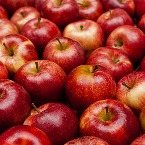 Katherine Mercado-Ramos